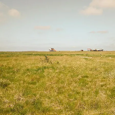 Zentrale Mit Terrasse&boxspringbett Apartment Sankt Peter-Ording