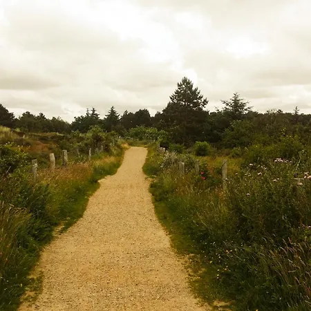 Zentrale Mit Terrasse&boxspringbett Apartment *